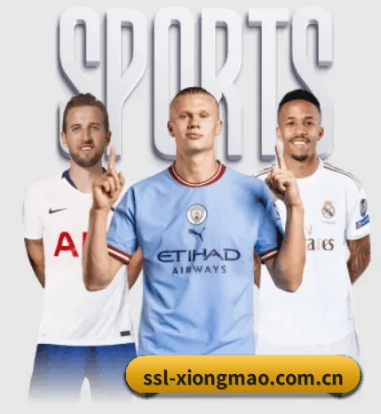 五大服务分区,信息按项目分类
